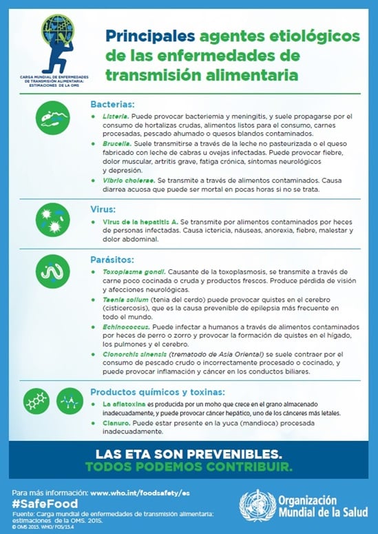 Principales agentes etiologicos de las enfermedades de transmision alimentaria