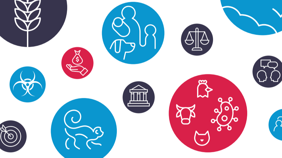 TZG Cover widescreen