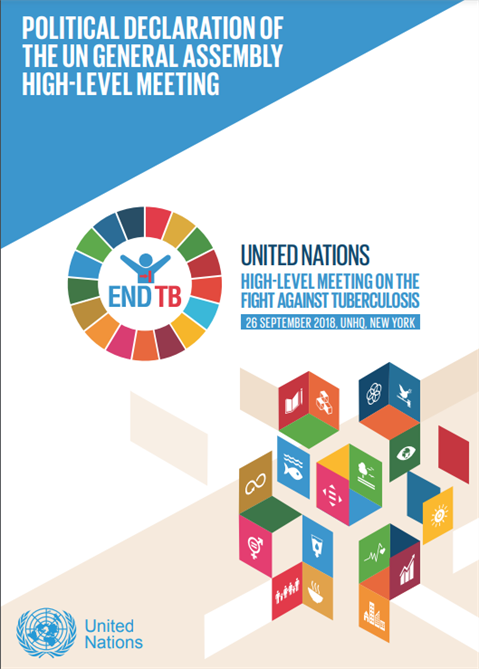 Political declaration of the UN high-level meeting of the General Assembly on the fight against TB