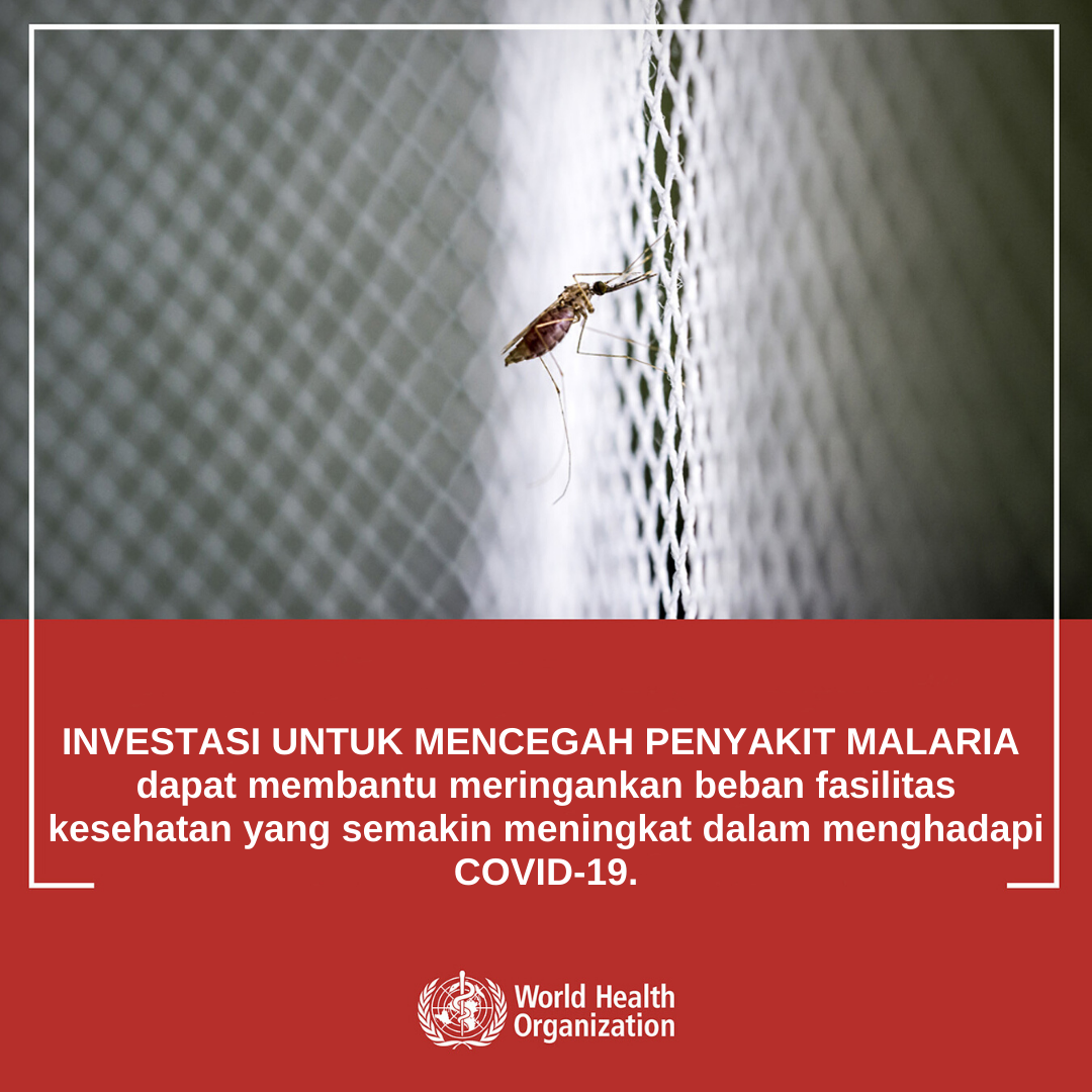 Investments in malaria prevention - BI